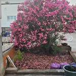 Apartamento Harizma *
