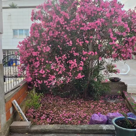 Apartment Harizma *
