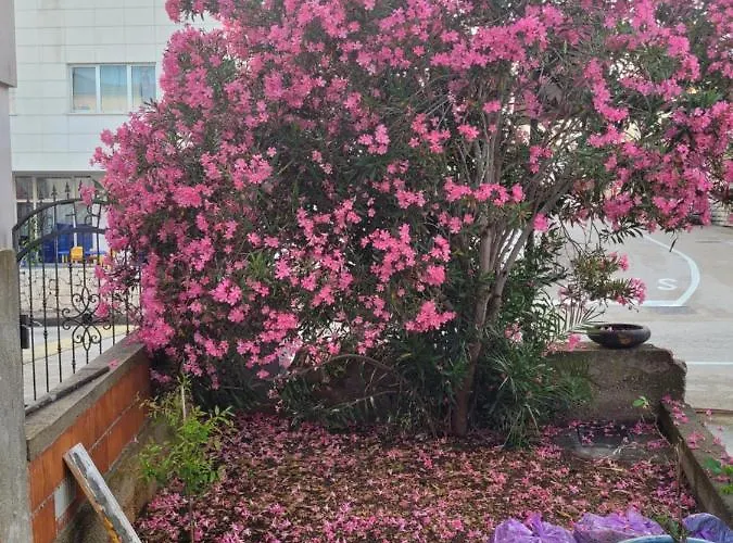 Appartement Harizma *